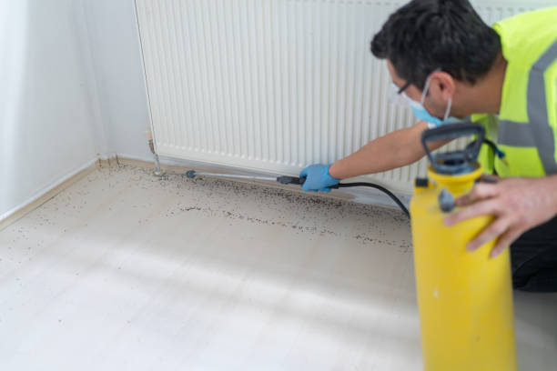 Best Residential Pest Control  in Lima, PA